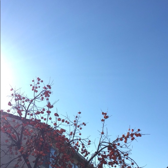 Meet your Posher, Owen - Picture 1 of 1